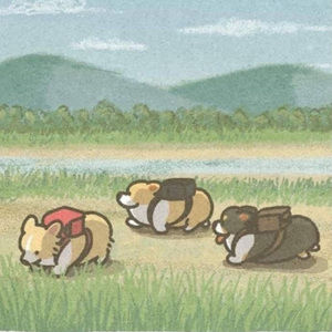 Meet your Posher, Kip